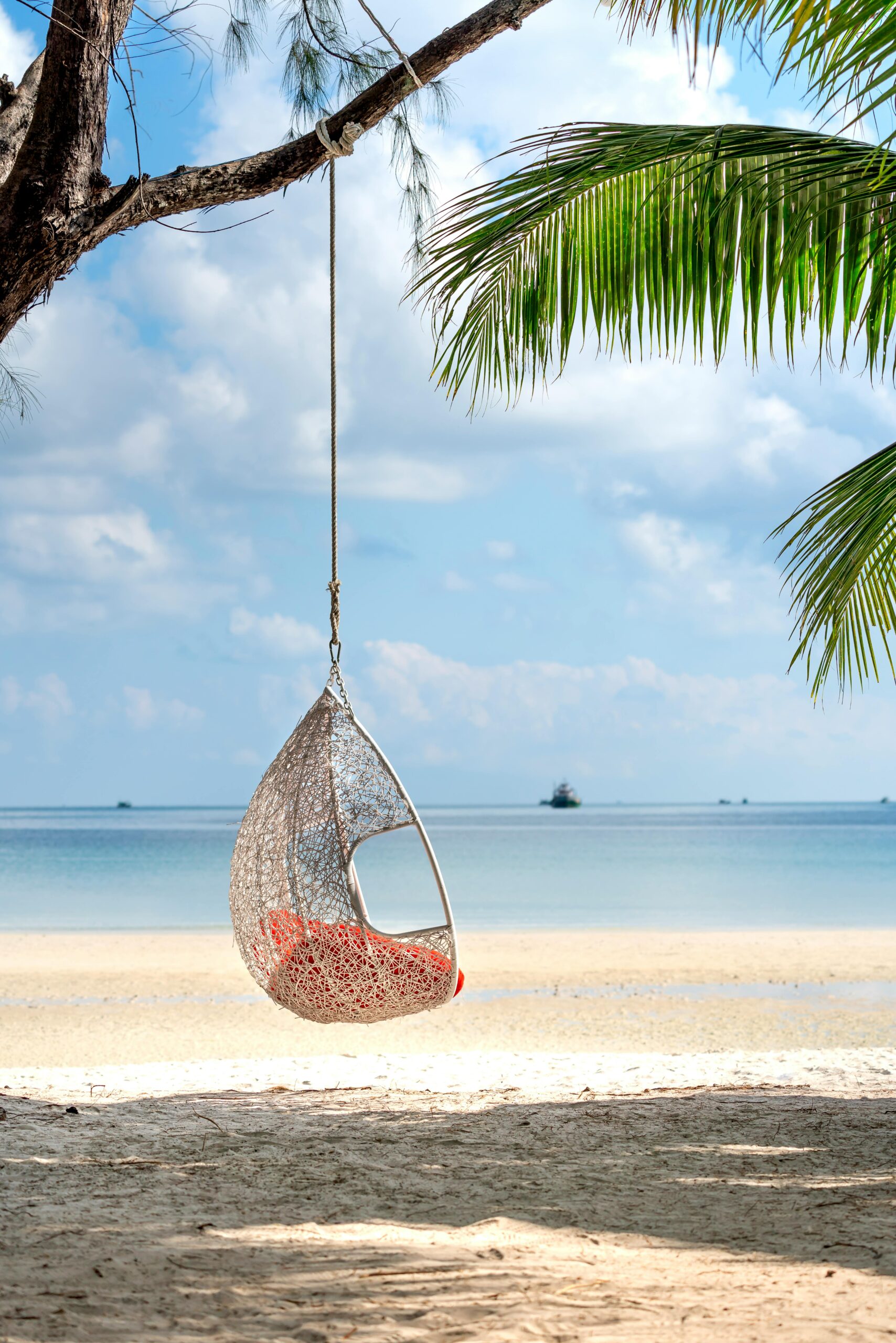 pexels photo 3355788 3355788 A peaceful scene with a hanging swing chair on a tropical beach, perfect for relaxation.